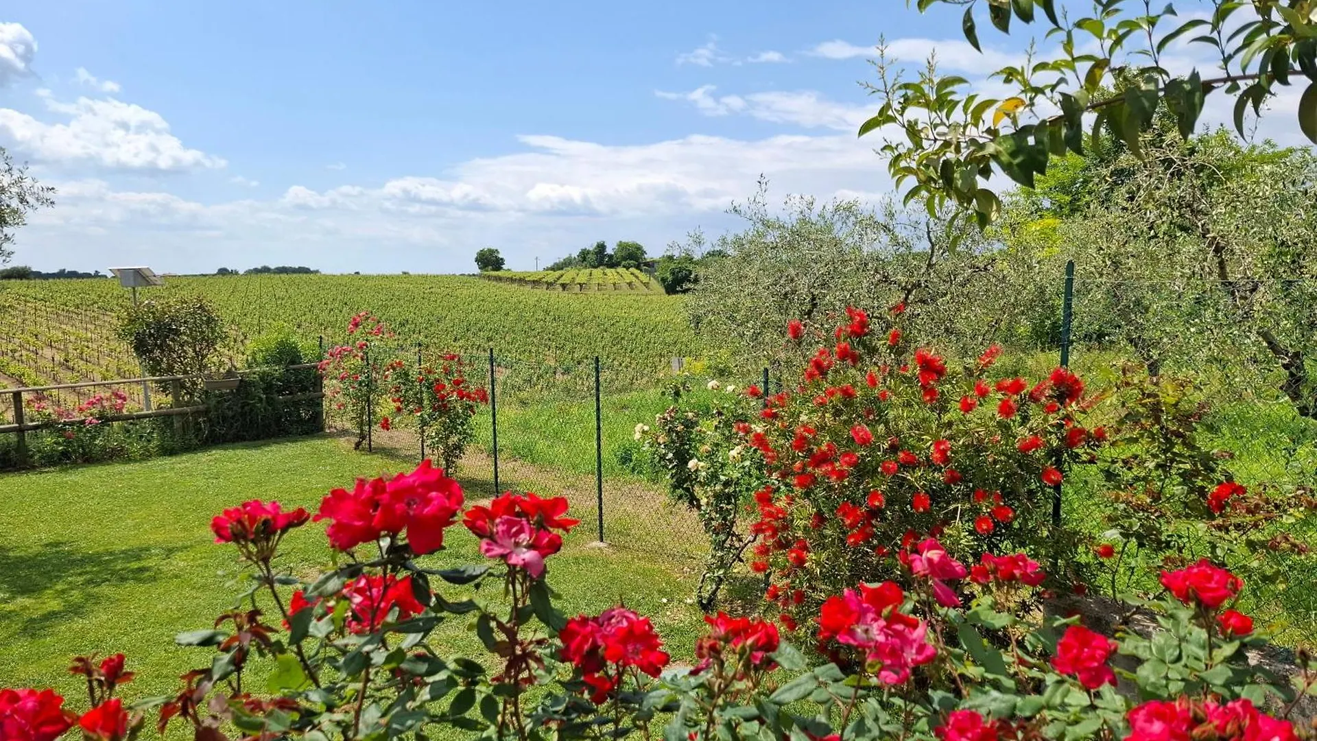 Villa Poggio Bardolino Italy
